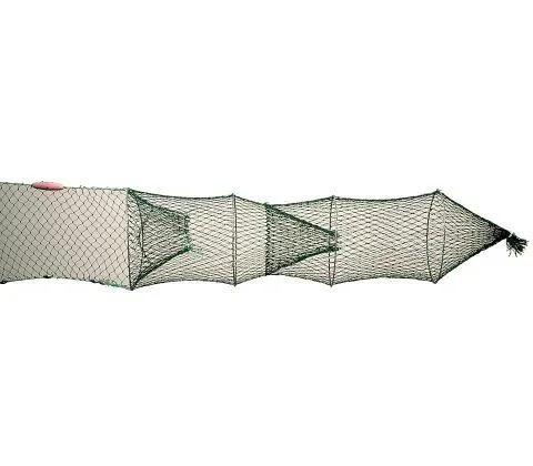 74/4 Krabben-/Kabeljaurogen – Doppelter Rogen