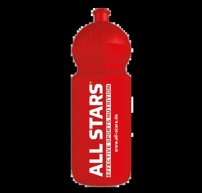 ALL STARS Trinkflasche 500ml