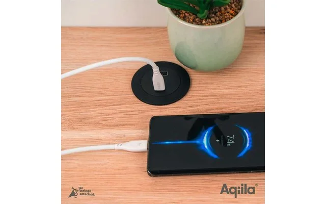 Aqiila Cablebird Lade/ Sync Kabel USB C zu USB C mit 60 W