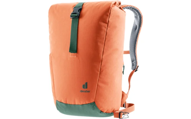 Deuter Stepout 22 Rucksack 22 Liter chestnut ivy