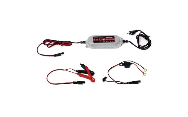 Dino KRAFTPAKET Batterieladegerät 6/12V 1A + Ring