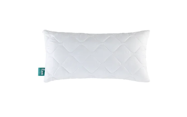 f.a.n. Kansas Kissen