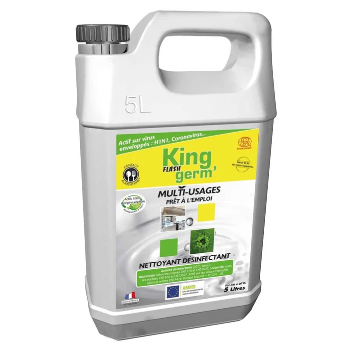 Flash Germ‘ Mehrzweck zum Desinfizieren – Sprühgerät 750mL KING