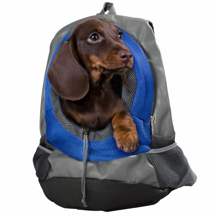 i+v Rucksack für Hunde