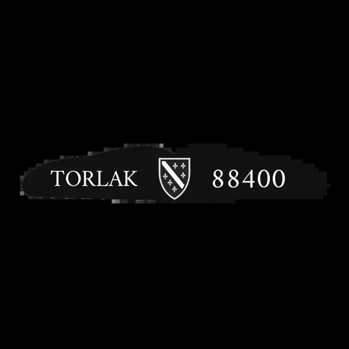 Selbst Designen – Boil and Bite Mundschutz (wasserformbar)