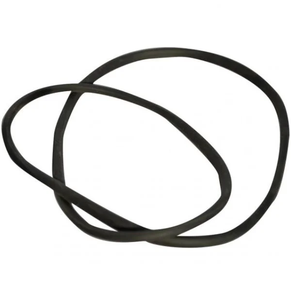 Truma Dichtring für Boiler B/BN, Gas/Elektro ab 05/2014 (Nr. 70000-14100)