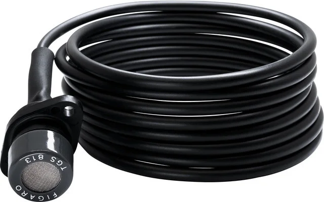 Zusatzsensor für G.A.S. pro